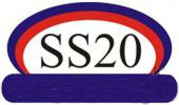 Стойки SS20 на автомобили Лада